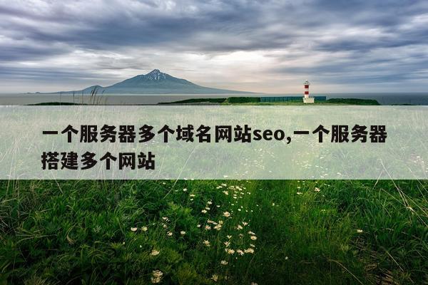 一个服务器多个域名网站seo,一个服务器搭建多个网站