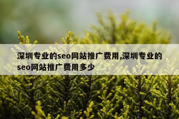 深圳专业的seo网站推广费用,深圳专业的seo网站推广费用多少