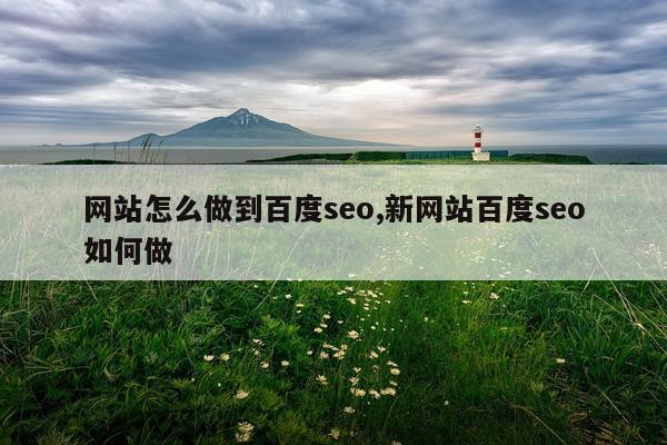网站怎么做到百度seo,新网站百度seo如何做