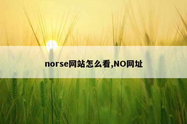 norse网站怎么看,NO网址