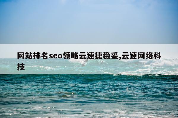 网站排名seo领略云速捷稳妥,云速网络科技