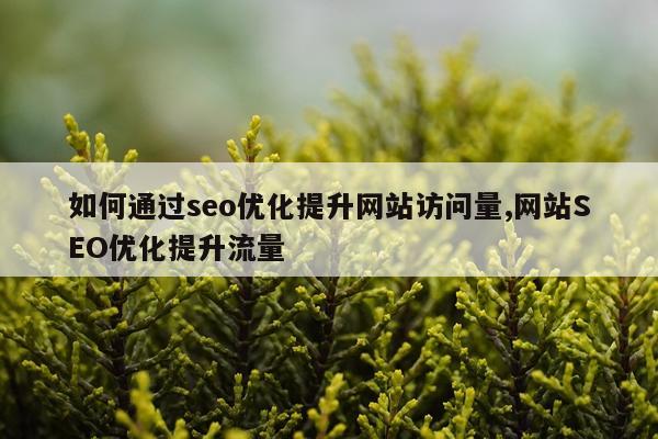 如何通过seo优化提升网站访问量,网站SEO优化提升流量