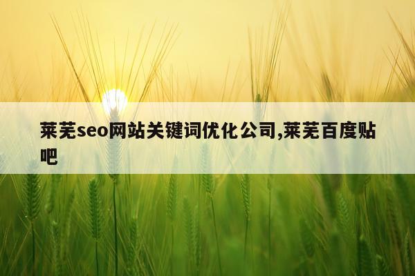 莱芜seo网站关键词优化公司,莱芜百度贴吧
