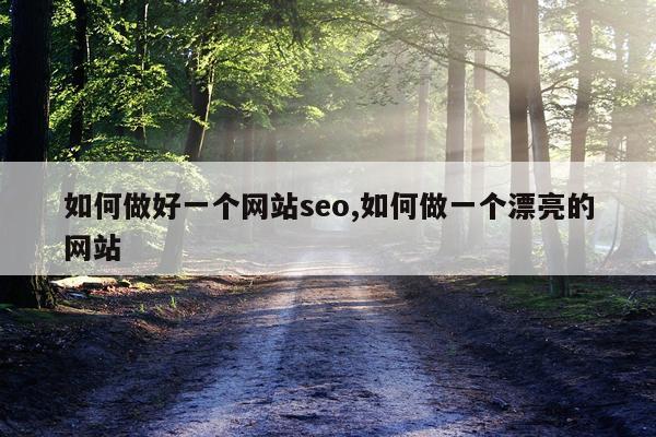 如何做好一个网站seo,如何做一个漂亮的网站