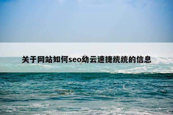 关于网站如何seo幼云速捷统统的信息