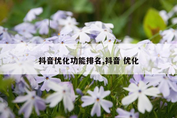 抖音优化功能排名,抖音 优化