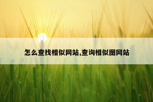 怎么查找相似网站,查询相似图网站