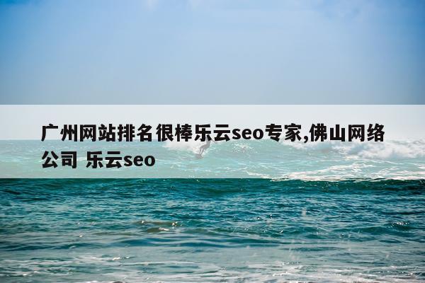 广州网站排名很棒乐云seo专家,佛山网络公司 乐云seo