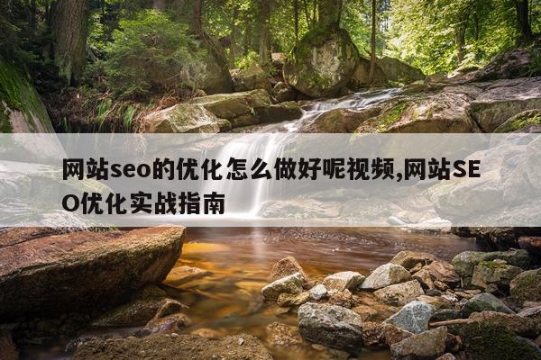 网站seo的优化怎么做好呢视频,网站SEO优化实战指南