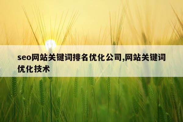 seo网站关键词排名优化公司,网站关键词优化技术