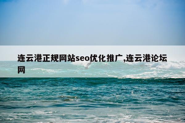 连云港正规网站seo优化推广,连云港论坛网