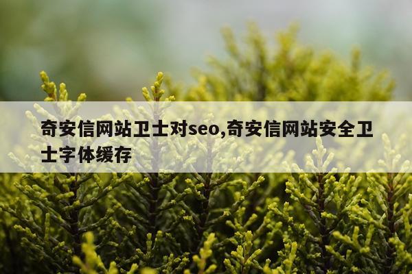 奇安信网站卫士对seo,奇安信网站安全卫士字体缓存