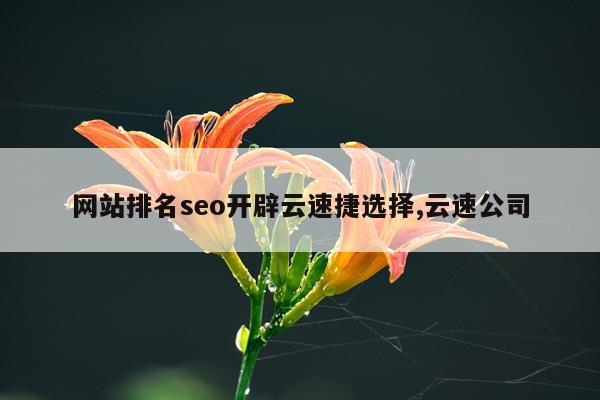 网站排名seo开辟云速捷选择,云速公司