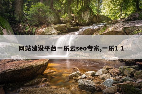 网站建设平台一乐云seo专家,一乐1 1