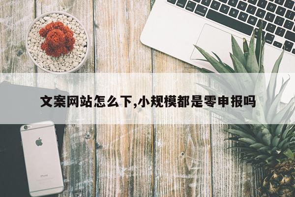文案网站怎么下,小规模都是零申报吗