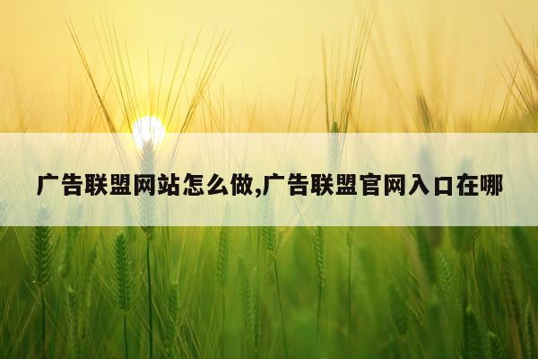 广告联盟网站怎么做,广告联盟官网入口在哪