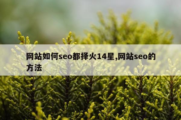 网站如何seo都择火14星,网站seo的方法