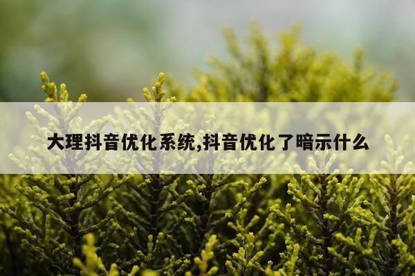 大理抖音优化系统,抖音优化了暗示什么
