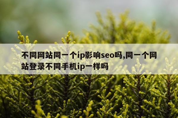 不同网站同一个ip影响seo吗,同一个网站登录不同手机ip一样吗