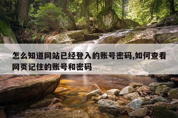 怎么知道网站已经登入的账号密码,如何查看网页记住的账号和密码