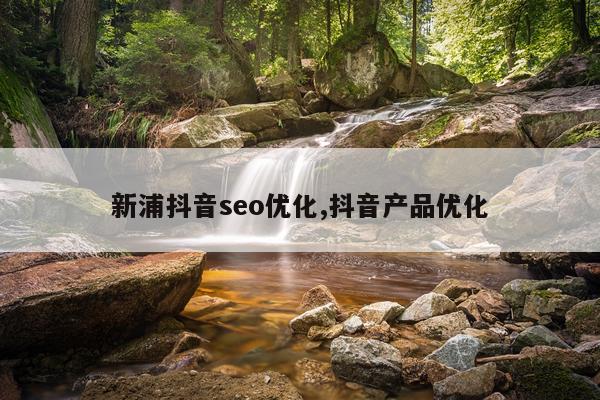 新浦抖音seo优化,抖音产品优化