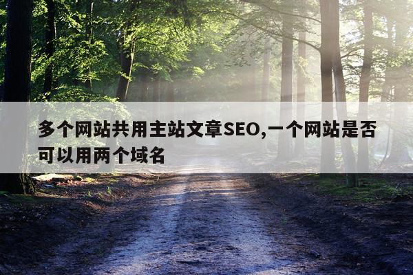 多个网站共用主站文章SEO,一个网站是否可以用两个域名