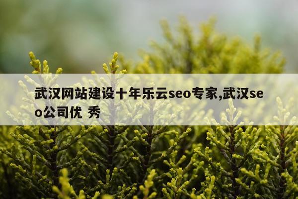 武汉网站建设十年乐云seo专家,武汉seo公司优 秀