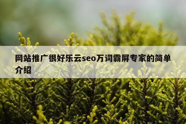 网站推广很好乐云seo万词霸屏专家的简单介绍