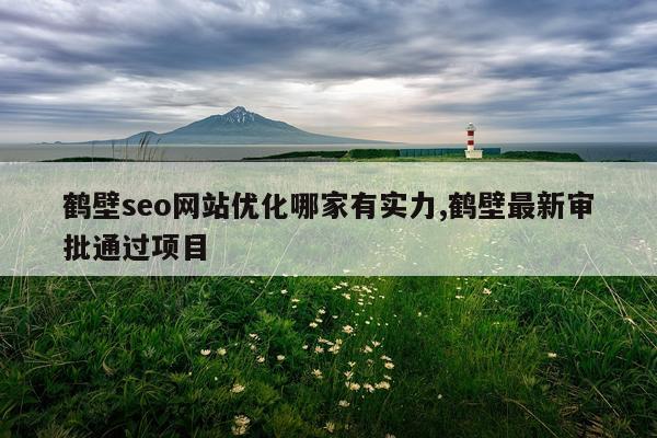 鹤壁seo网站优化哪家有实力,鹤壁最新审批通过项目
