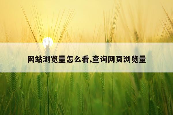 网站浏览量怎么看,查询网页浏览量