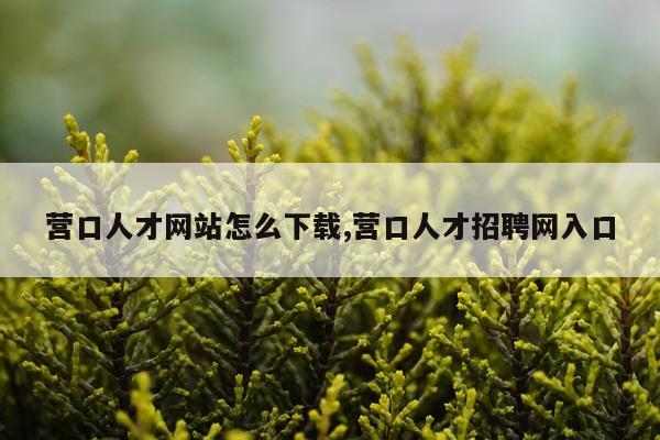 营口人才网站怎么下载,营口人才招聘网入口