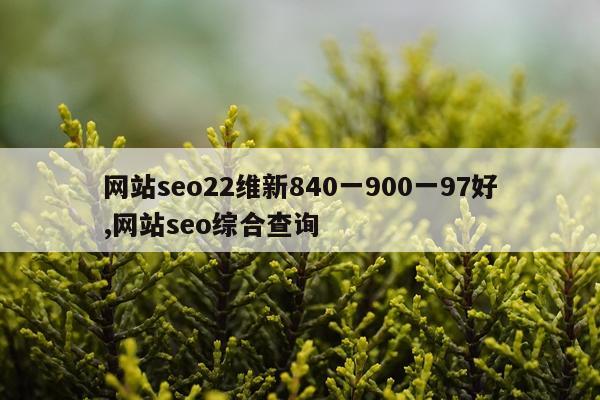网站seo22维新840一900一97好,网站seo综合查询
