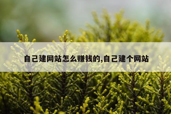 自己建网站怎么赚钱的,自己建个网站