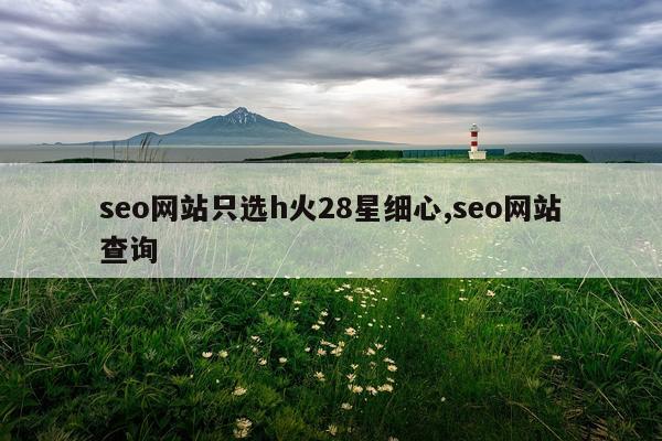 seo网站只选h火28星细心,seo网站查询