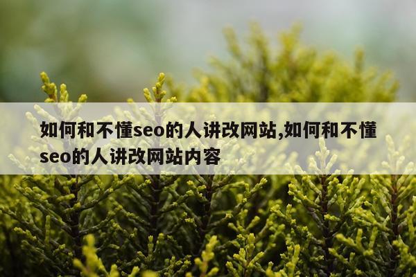 如何和不懂seo的人讲改网站,如何和不懂seo的人讲改网站内容
