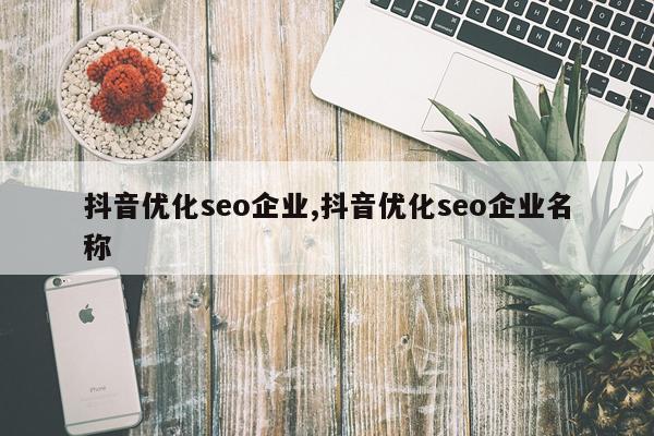 抖音优化seo企业,抖音优化seo企业名称