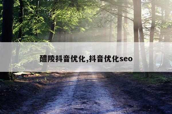 醴陵抖音优化,抖音优化seo