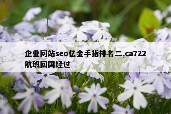 企业网站seo亿金手指排名二,ca722航班回国经过