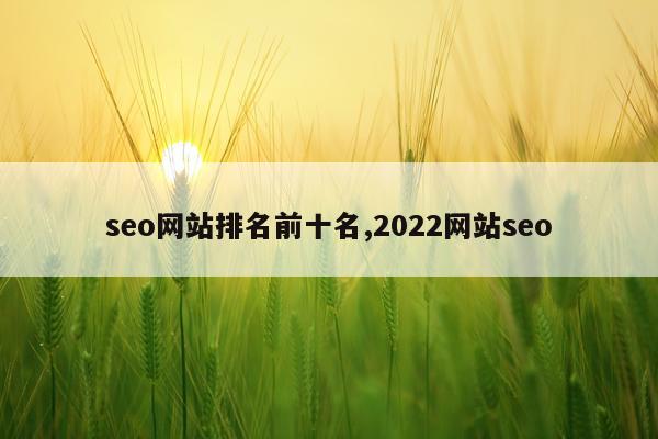 seo网站排名前十名,2022网站seo