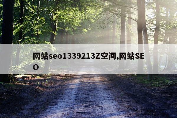 网站seo1339213Z空间,网站SEO