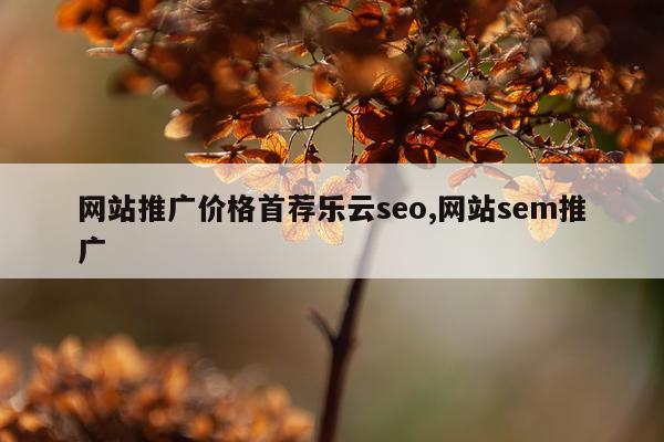 网站推广价格首荐乐云seo,网站sem推广
