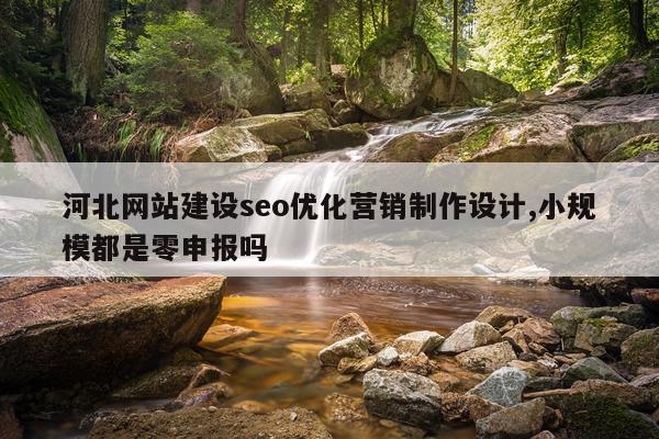 河北网站建设seo优化营销制作设计,小规模都是零申报吗