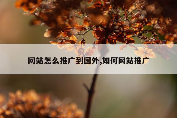 网站怎么推广到国外,如何网站推广