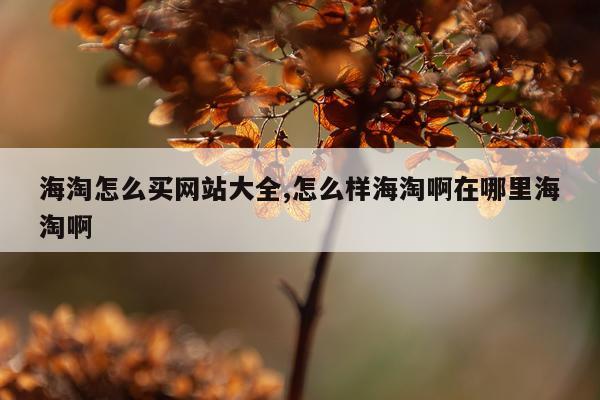 海淘怎么买网站大全,怎么样海淘啊在哪里海淘啊