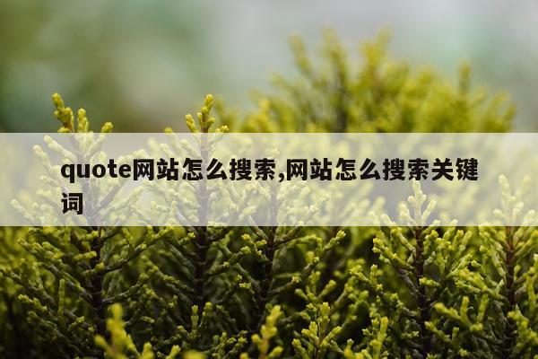 quote网站怎么搜索,网站怎么搜索关键词