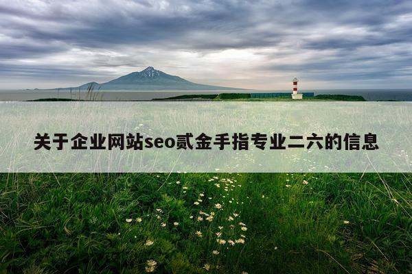 关于企业网站seo贰金手指专业二六的信息