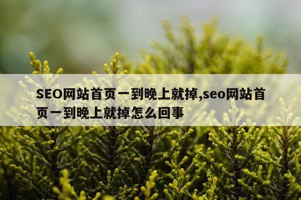 SEO网站首页一到晚上就掉,seo网站首页一到晚上就掉怎么回事