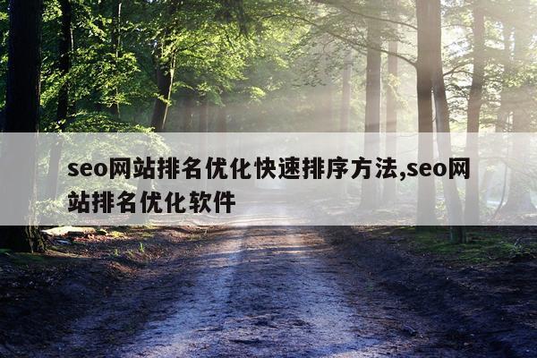 seo网站排名优化快速排序方法,seo网站排名优化软件