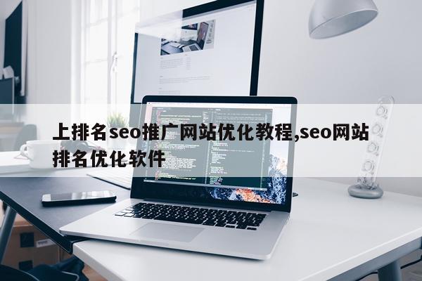 上排名seo推广网站优化教程,seo网站排名优化软件