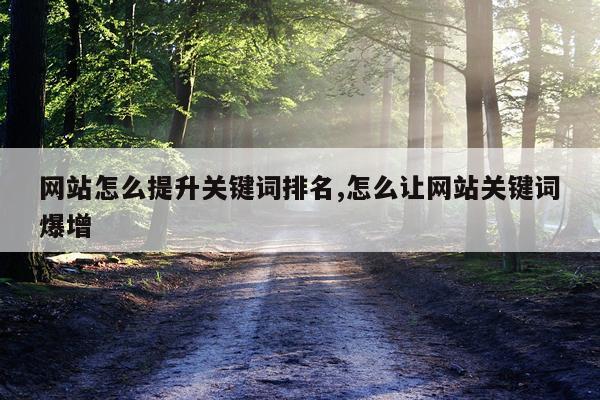 网站怎么提升关键词排名,怎么让网站关键词爆增